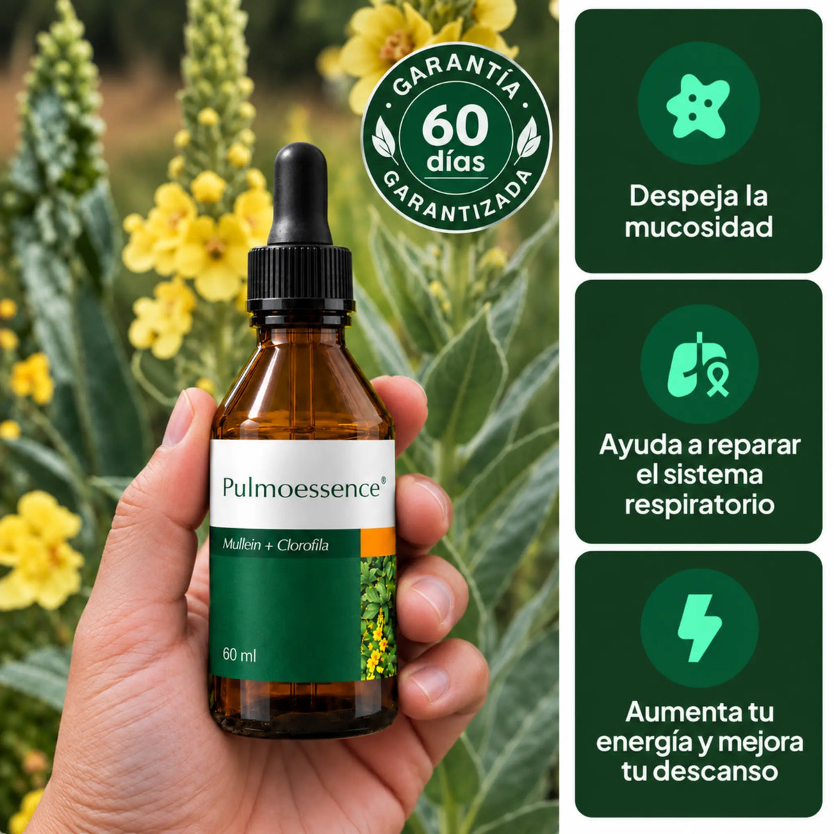 PulmoEssence — Extracto de Mullein + Clorofila 60ml