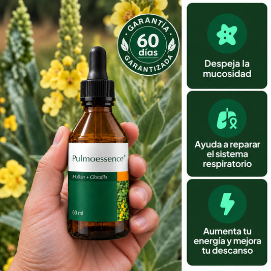 PulmoEssence — Extracto de Mullein + Clorofila 60ml
