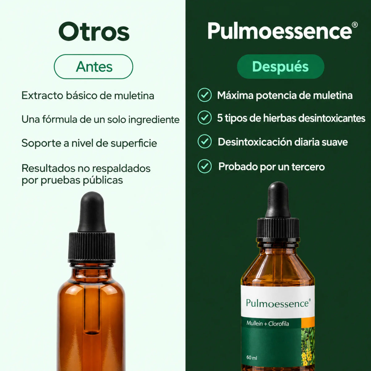 PulmoEssence — Extracto de Mullein + Clorofila 60ml