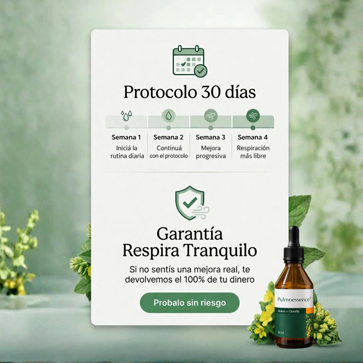 PulmoEssence — Extracto de Mullein + Clorofila 60ml