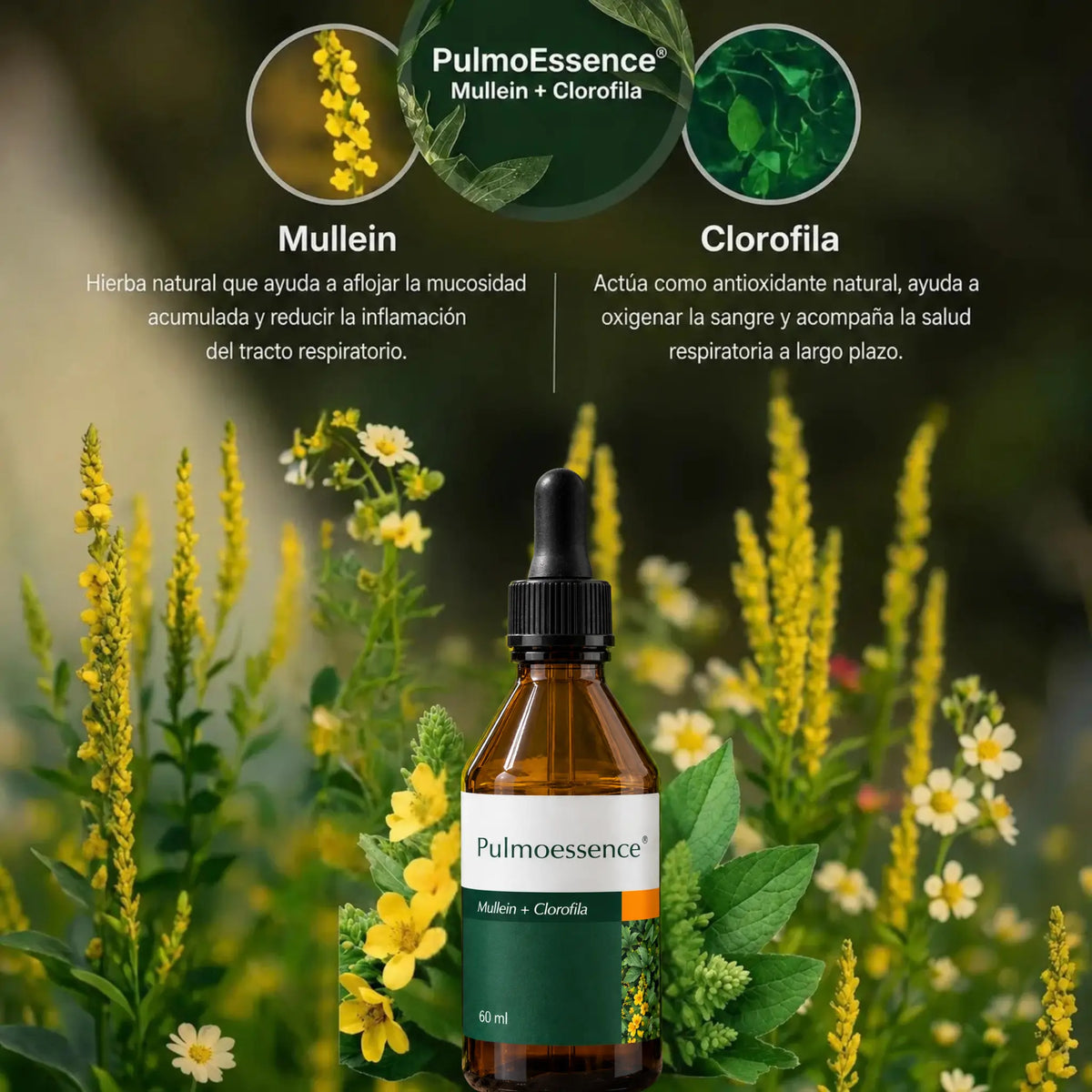 PulmoEssence — Extracto de Mullein + Clorofila 60ml
