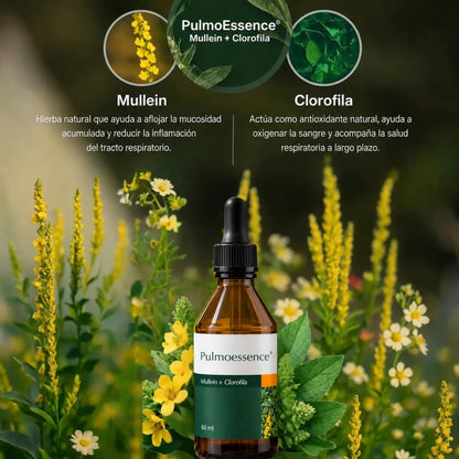 PulmoEssence — Extracto de Mullein + Clorofila 60ml